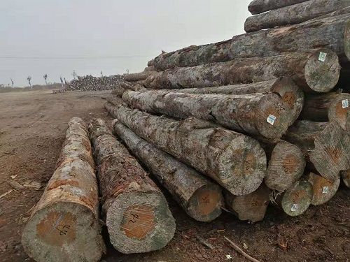 202103171443004 202103171443004